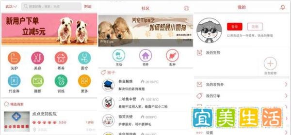爱狗团：身价超千万的90后CEO想让天下没有难买的狗