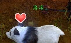 魔兽世界如何变身小熊猫?