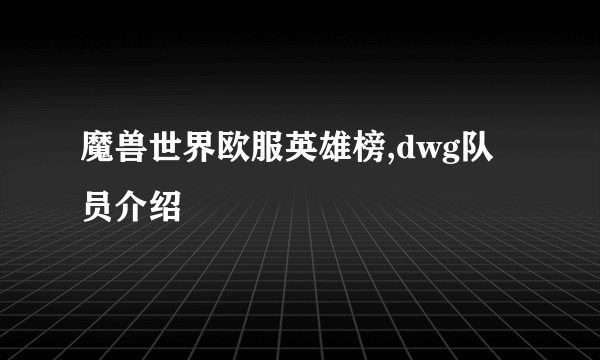 魔兽世界欧服英雄榜,dwg队员介绍