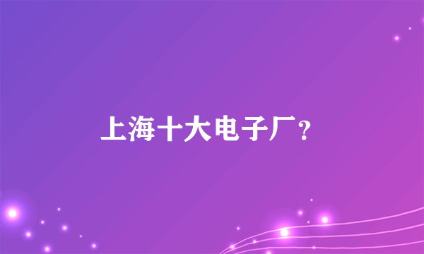 上海十大电子厂？
