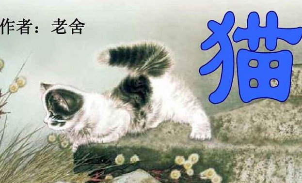老舍的散文《猫》和郑振铎的《猫》有什么区别？