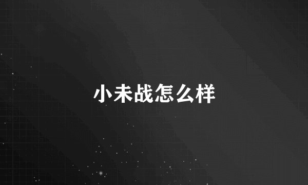 小未战怎么样