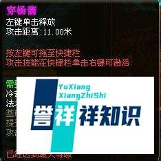 御龙在天弓手加点