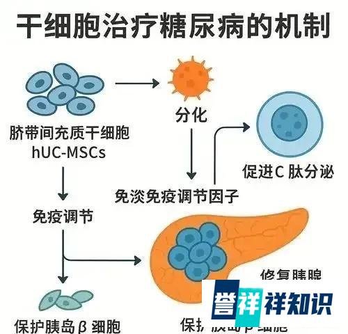 8000万单位的干细胞治疗糖尿病打3次多少钱？达到什么效果，是否值得应用？