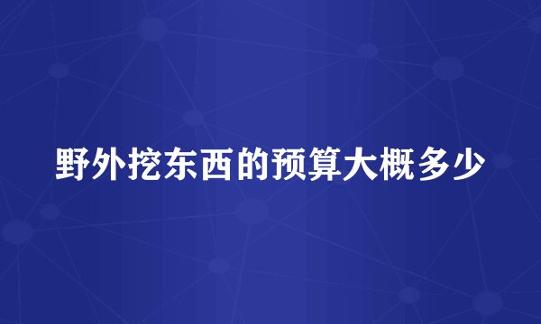 野外挖东西的预算大概多少
