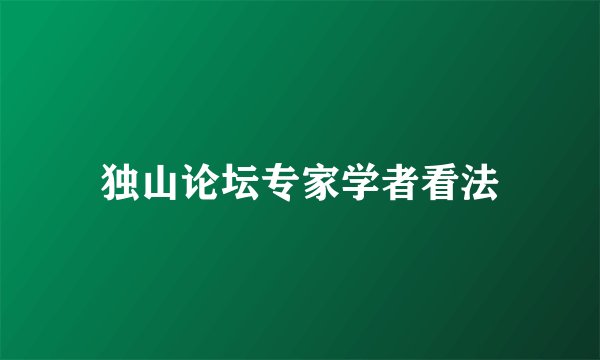 独山论坛专家学者看法