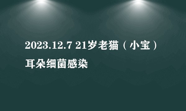 2023.12.7 21岁老猫（小宝）耳朵细菌感染
