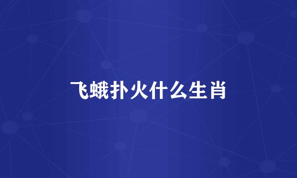 飞蛾扑火什么生肖