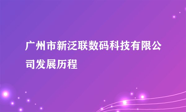 广州市新泛联数码科技有限公司发展历程