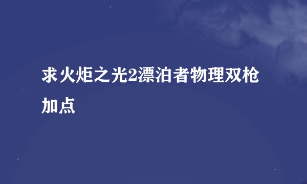 求火炬之光2漂泊者物理双枪加点