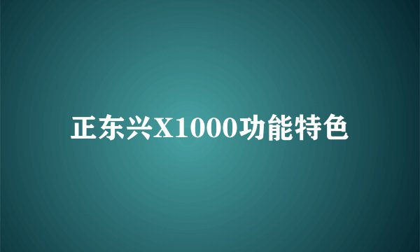 正东兴X1000功能特色