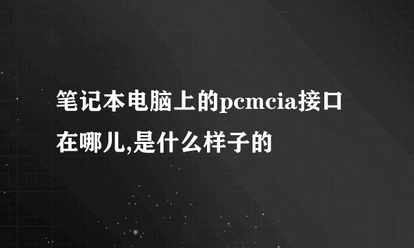 笔记本电脑上的pcmcia接口在哪儿,是什么样子的
