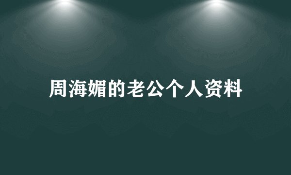 周海媚的老公个人资料