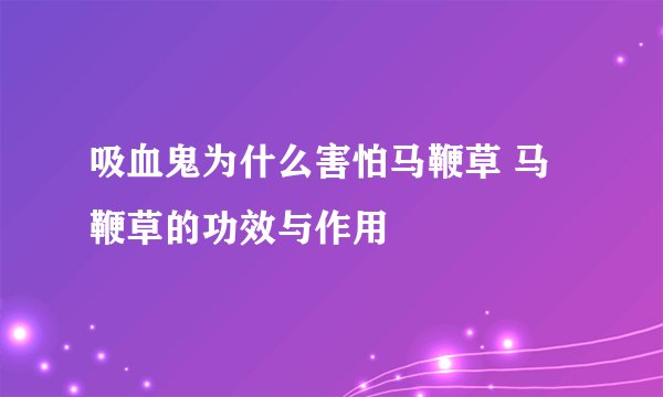 吸血鬼为什么害怕马鞭草 马鞭草的功效与作用