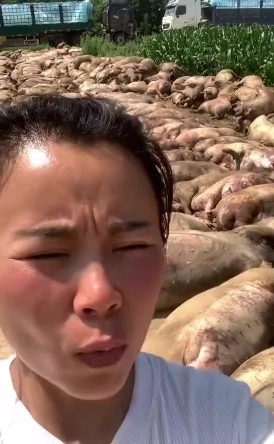 黑龙江限电下的民间疾苦