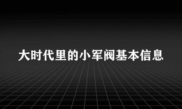 大时代里的小军阀基本信息
