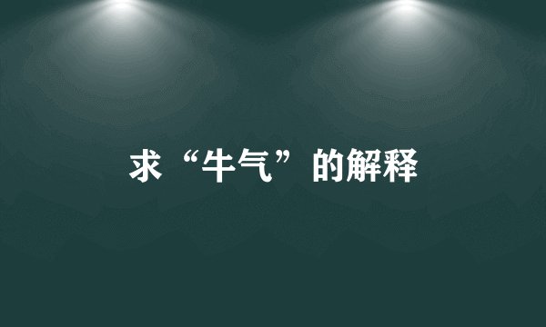 求“牛气”的解释