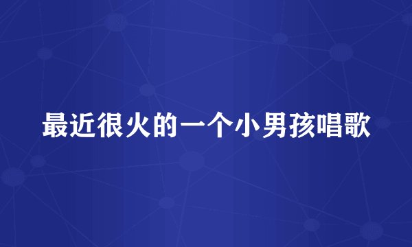 最近很火的一个小男孩唱歌