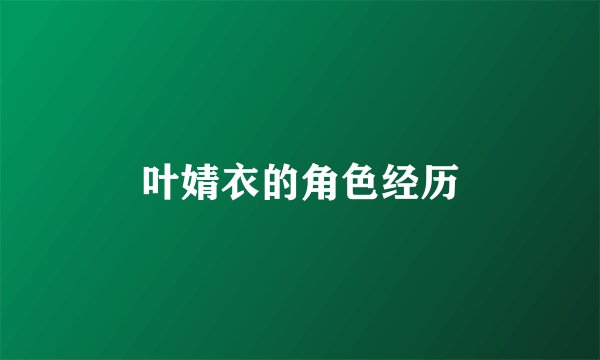 叶婧衣的角色经历