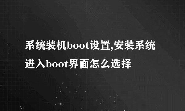 系统装机boot设置,安装系统进入boot界面怎么选择