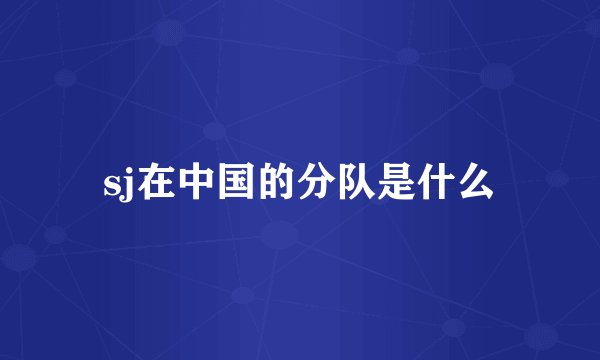 sj在中国的分队是什么