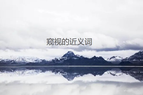 窥视的近义词