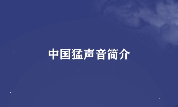 中国猛声音简介