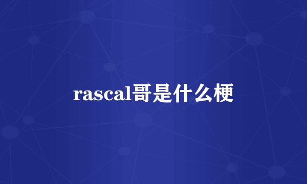 rascal哥是什么梗