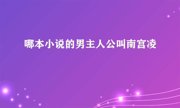 哪本小说的男主人公叫南宫凌