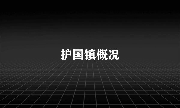 护国镇概况