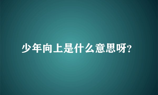 少年向上是什么意思呀？