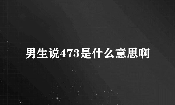 男生说473是什么意思啊