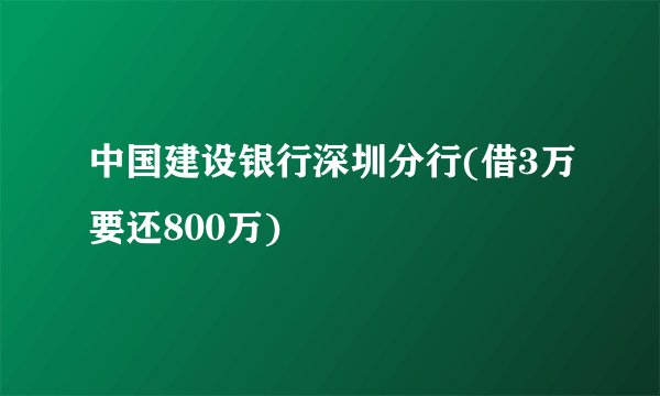 中国建设银行深圳分行(借3万要还800万)