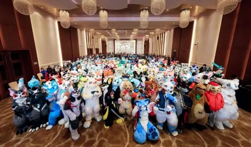 为什么很多人反感furry控呢？