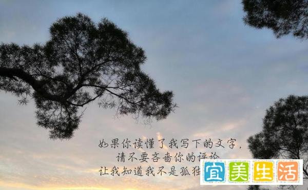 “现相”：所谓“仪式感”是何物？