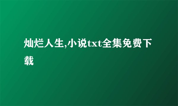 灿烂人生,小说txt全集免费下载
