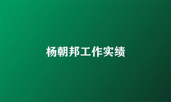 杨朝邦工作实绩