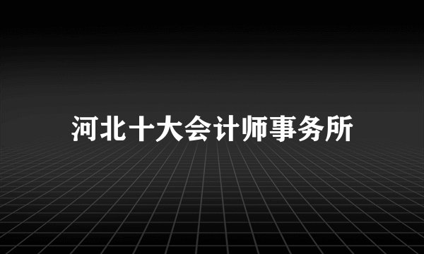 河北十大会计师事务所