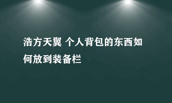 浩方天翼 个人背包的东西如何放到装备栏