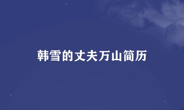 韩雪的丈夫万山简历