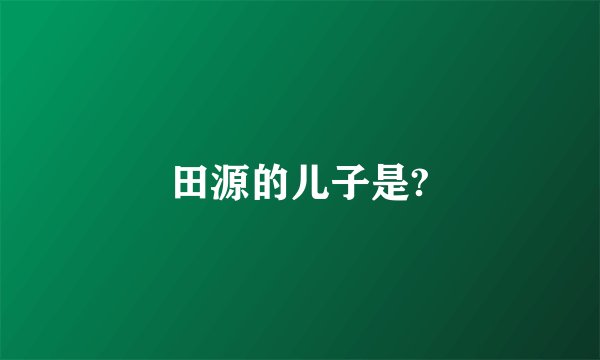 田源的儿子是?