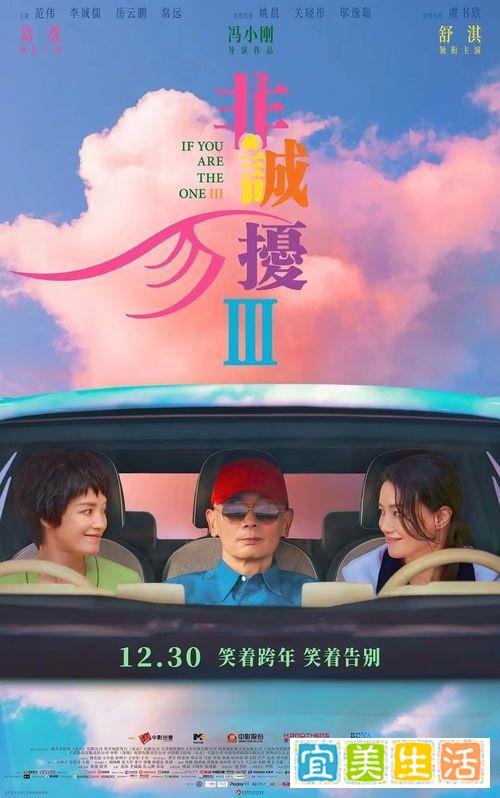影评 ｜ 《非诚勿扰3》