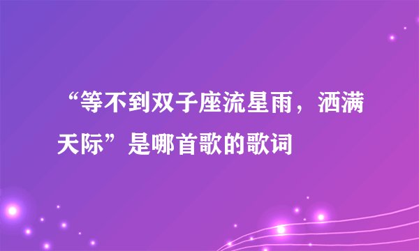 “等不到双子座流星雨，洒满天际”是哪首歌的歌词