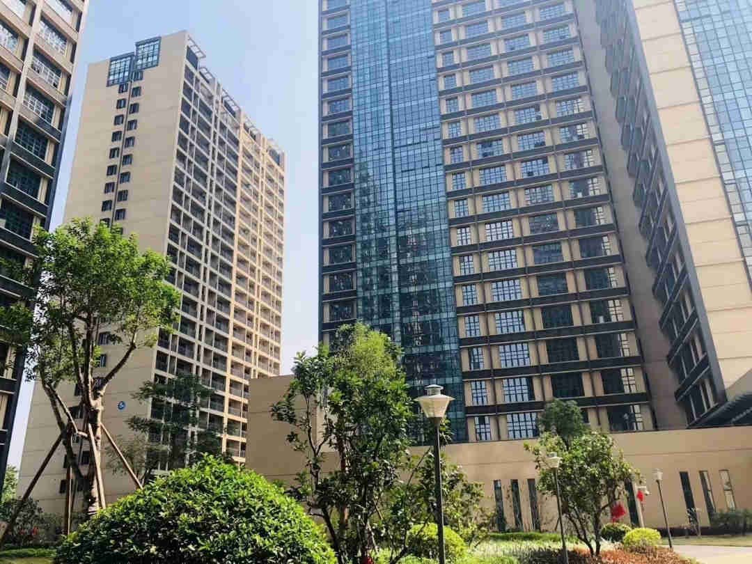 多地开始大手笔回购商品房,有何积极意义?
