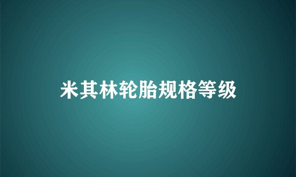 米其林轮胎规格等级