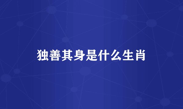 独善其身是什么生肖