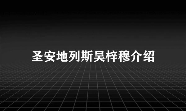圣安地列斯吴梓穆介绍