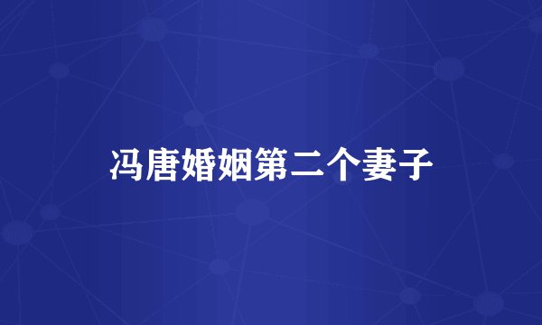 冯唐婚姻第二个妻子