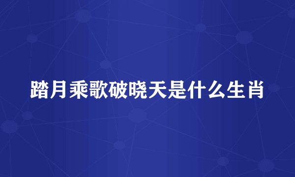 踏月乘歌破晓天是什么生肖