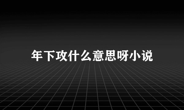 年下攻什么意思呀小说